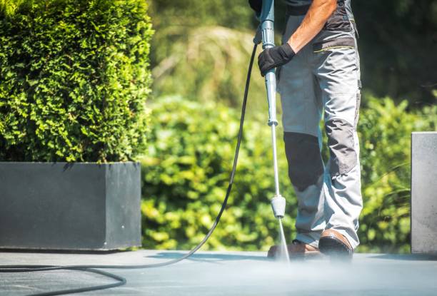 Best Roof Washing  in The Hammocks, FL